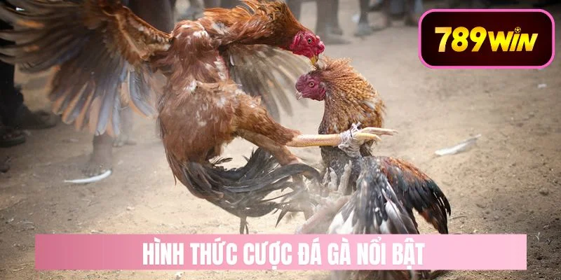Các Hình Thức Cược Đá Gà Nổi Bật Tại 789WIN