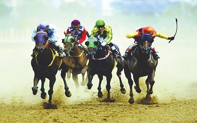 Trong cá cược đua ngựa có nhiều loại hình đặt cược khác nhau 